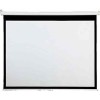 Проекционный экран Draper AccuScreens Manual 241x176 [800064]