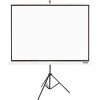 Проекционный экран Acer T87-S01MW [MC.JBG11.00F]
